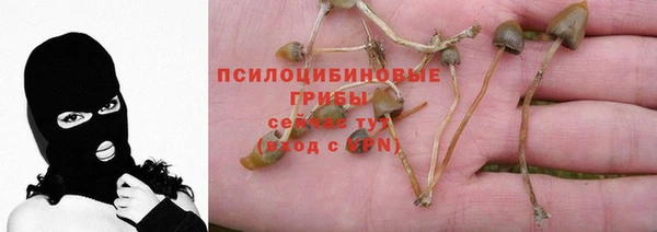 СК Алексеевка