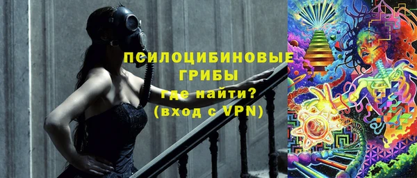 гидропоника Алзамай