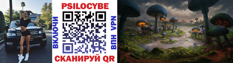 Галлюциногенные грибы Cubensis  Медынь 