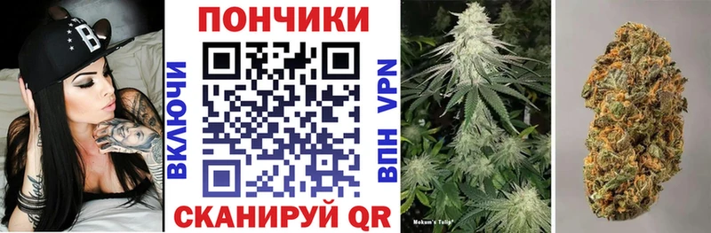 Конопля план Медынь